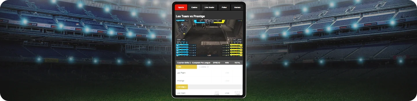 How to Bet on Esports