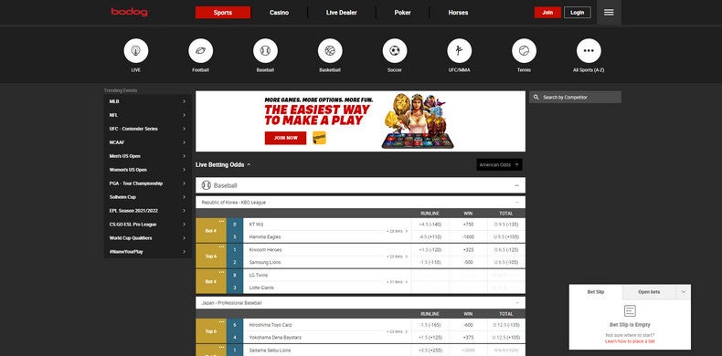 bodog sports