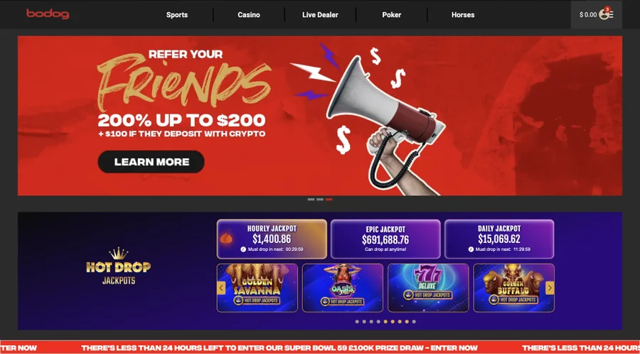 BODOG Crypto Deposit