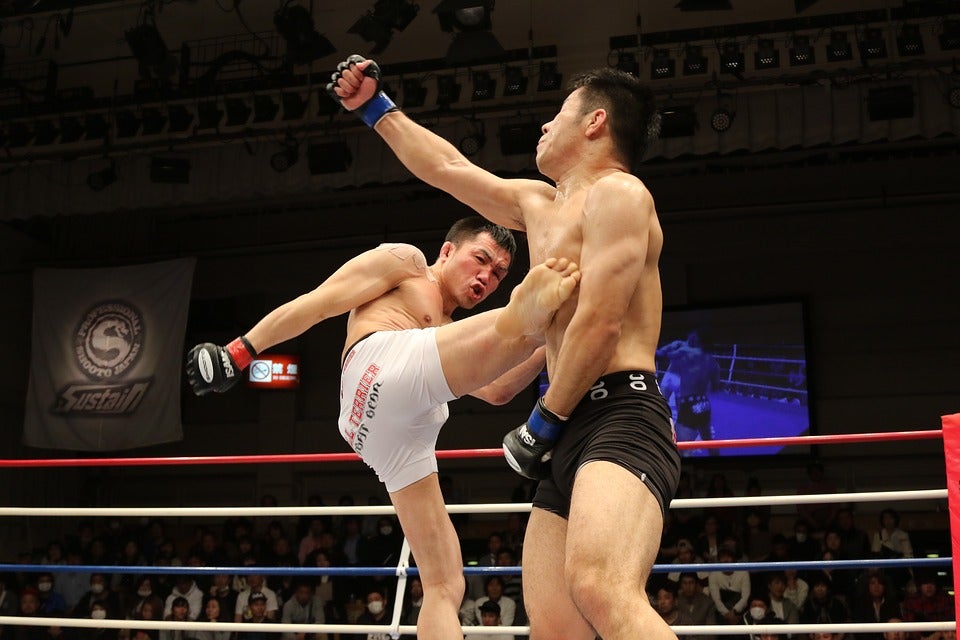 UFC 332: Figueiredo vs. Talbott Predictions & Betting Odds